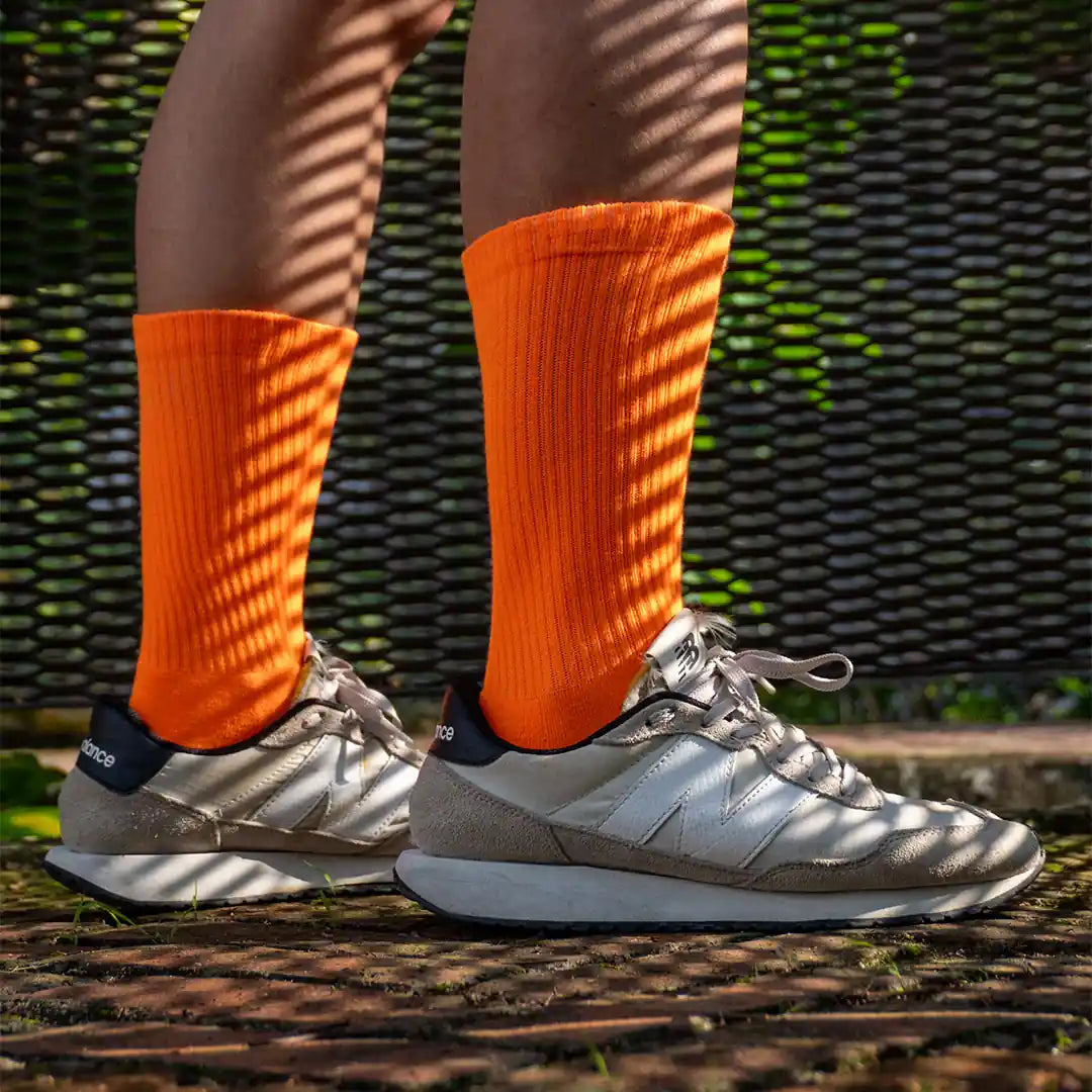 C44x2
