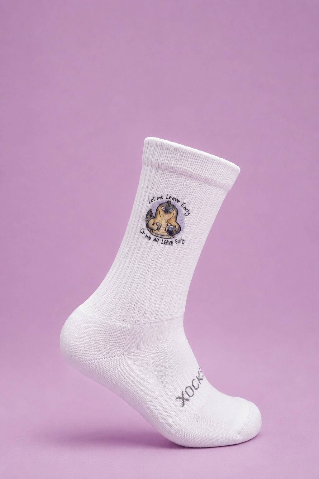 DINOsocks Series - Printined Dino Socks
