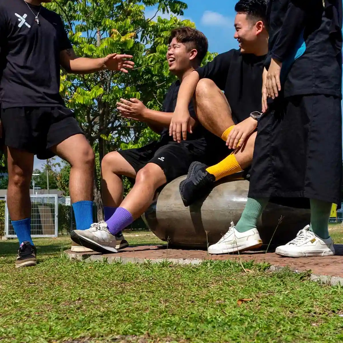 Mens Womens Everyday Socks 20 BEST SELLING COLOURS